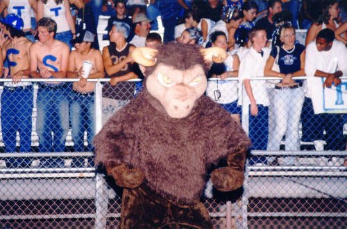 Official Tempe High Buffaloes Football Logo